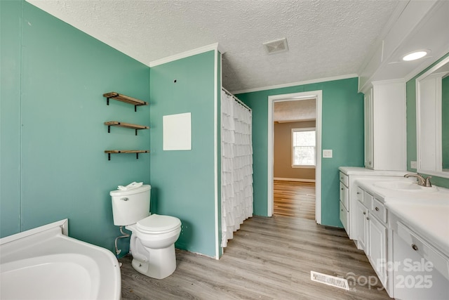 284 Cedar Grove Rd, Clover, SC 29710 - bathroom with toilet, vanity, wood finished floors, ornamental molding, and a textured ceiling