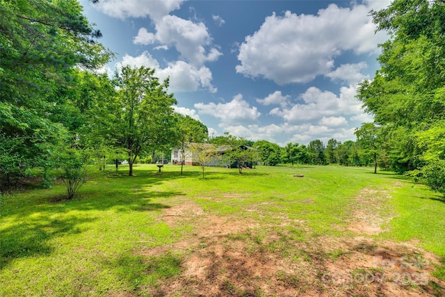 284 Cedar Grove Rd, Clover, SC 29710 - view of grassy yard
