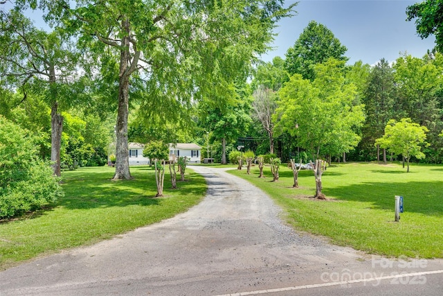284 Cedar Grove Rd, Clover, SC 29710 - surrounding community with view of wooded area, a yard, and driveway