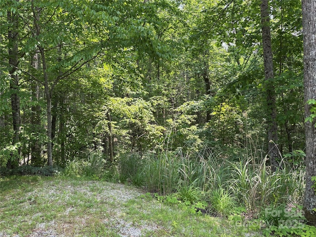 76 Six Springs Rd, Spruce Pine, NC 28777 - view of wooded area