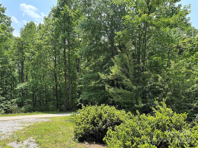 76 Six Springs Rd, Spruce Pine, NC 28777 - view of street with a wooded view
