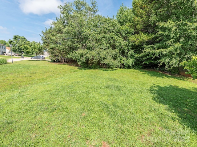 1271 Applewood Ln, York, SC 29745 - view of green lawn