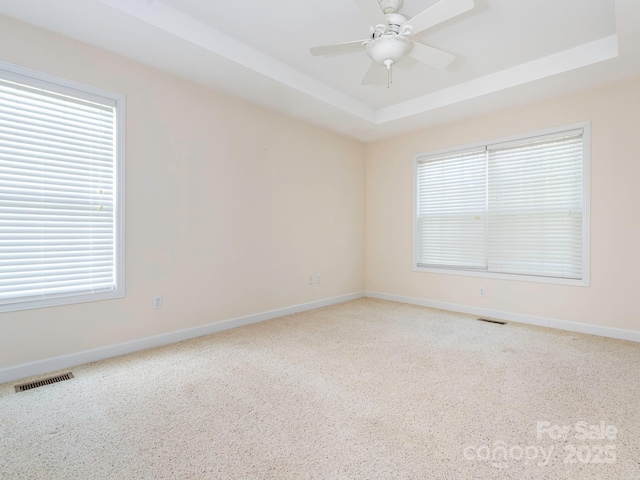 1271 Applewood Ln, York, SC 29745 - spare room featuring a raised ceiling, baseboards, carpet, and healthy amount of natural light