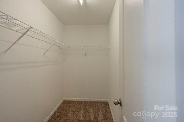 8226 Gabon Ct, Charlotte, NC 28215 - photo 24