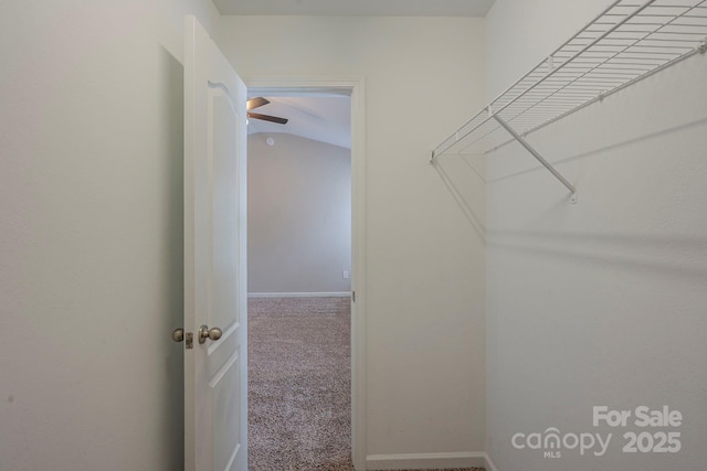 8226 Gabon Ct, Charlotte, NC 28215 - photo 25