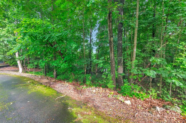 514 Wood St, Troy, NC 27371 - photo 42