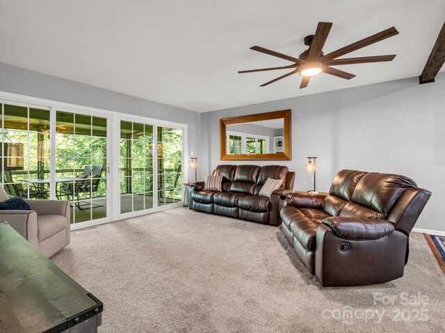 195 White Pine Dr, Lake Lure, NC 28746 - photo 8