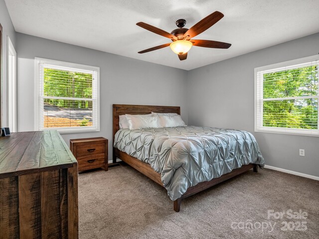 195 White Pine Dr, Lake Lure, NC 28746 - photo 14