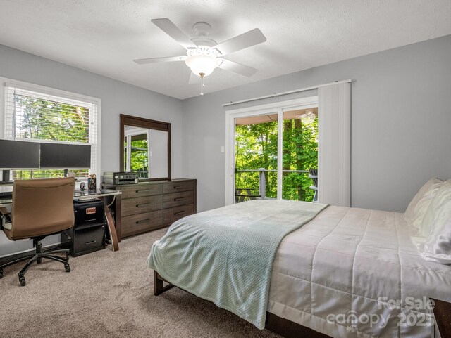 195 White Pine Dr, Lake Lure, NC 28746 - photo 16