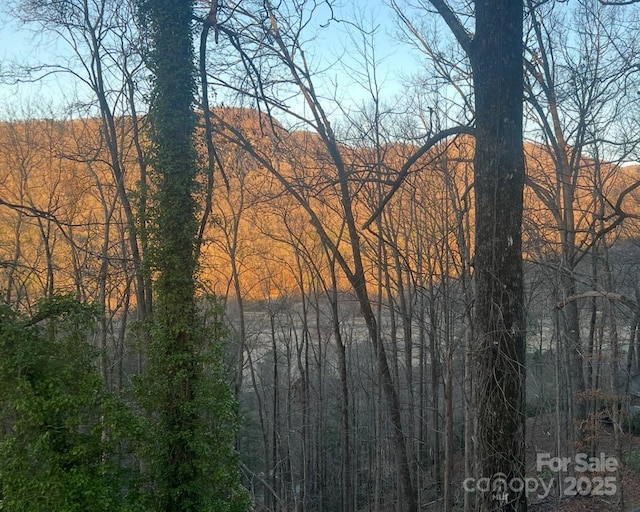 195 White Pine Dr, Lake Lure, NC 28746 - photo 36