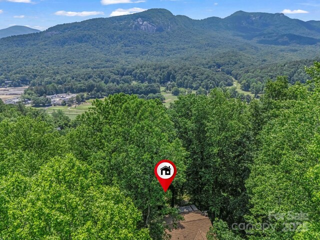 195 White Pine Dr, Lake Lure, NC 28746 - photo 37