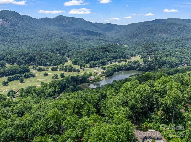 195 White Pine Dr, Lake Lure, NC 28746 - photo 39