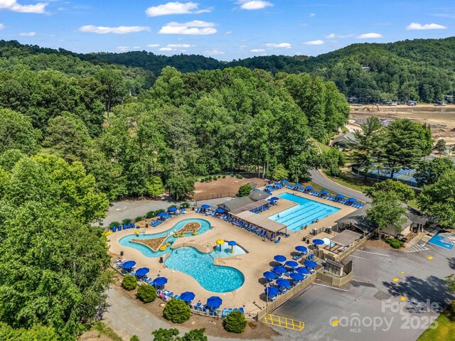 195 White Pine Dr, Lake Lure, NC 28746 - photo 41
