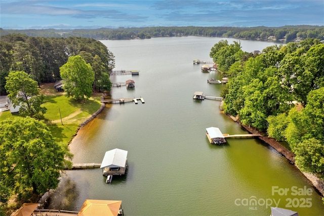 669 Kenway Loop, Mooresville, NC 28117 - bird's eye view of a nearby body of water