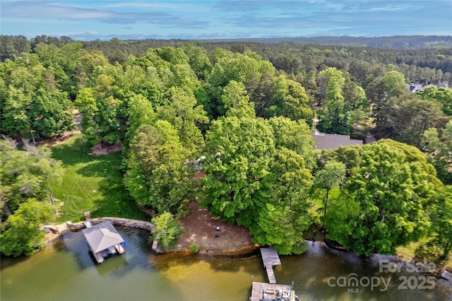 669 Kenway Loop, Mooresville, NC 28117 - aerial overview of property's location featuring a forest and a nearby body of water