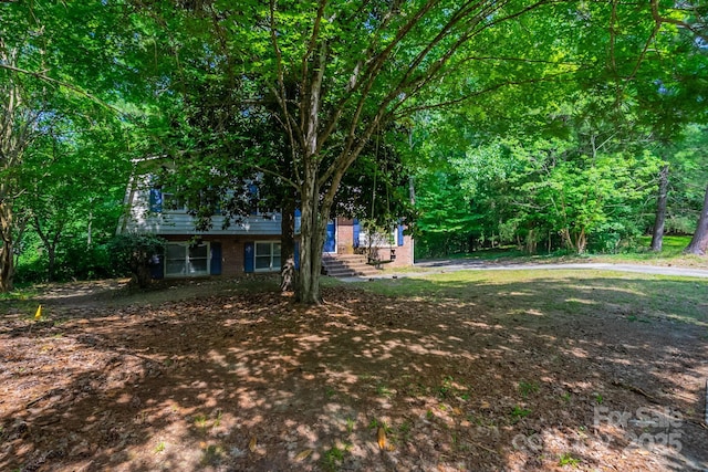 7320 Ritter Dr, Charlotte, NC 28270 - view of yard
