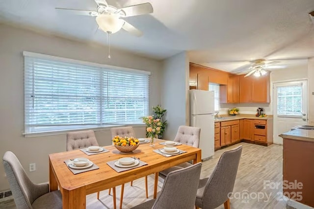 7320 Ritter Dr, Charlotte, NC 28270 - dining space with ceiling fan, plenty of natural light, and light wood-style floors