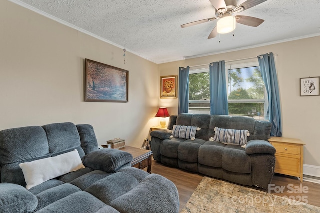 1425 3rd Street Pl NE, Hickory, NC 28601 - living room with wood finished floors, a textured ceiling, a ceiling fan, and ornamental molding