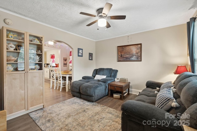 1425 3rd Street Pl NE, Hickory, NC 28601 - living room with a ceiling fan, arched walkways, wood finished floors, crown molding, and a textured ceiling
