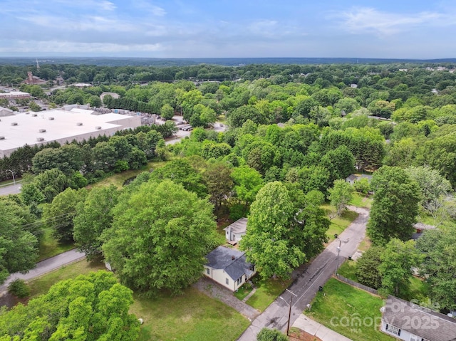1425 3rd Street Pl NE, Hickory, NC 28601 - aerial view of a forest
