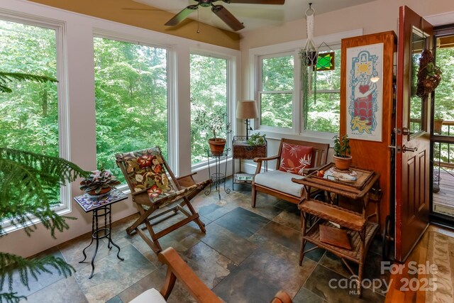 309 Willow Lakes Dr, Rutherfordton, NC 28139 - photo 4