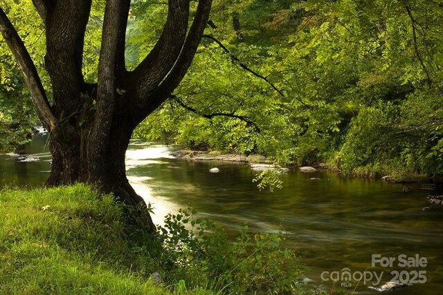 49 S Sundrops Trl, Cullowhee, NC 28723 - water view featuring a heavily wooded area