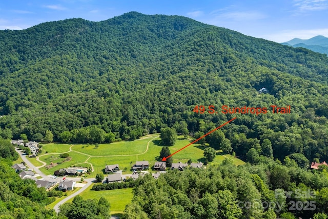49 S Sundrops Trl, Cullowhee, NC 28723 - drone / aerial view of a forest