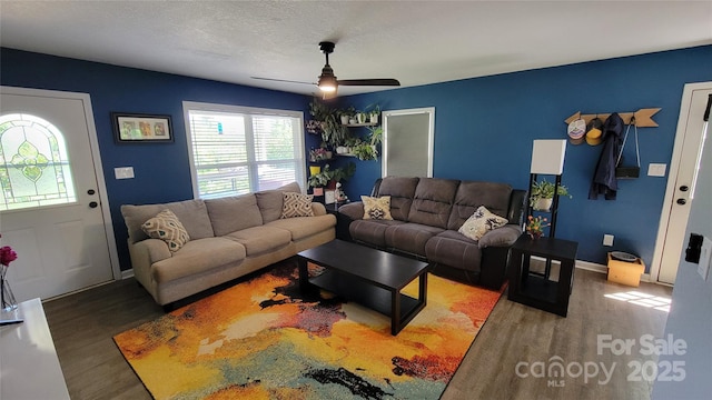 10 Haven Crest Ln, Fletcher, NC 28732 - living room with wood finished floors, ceiling fan, and baseboards