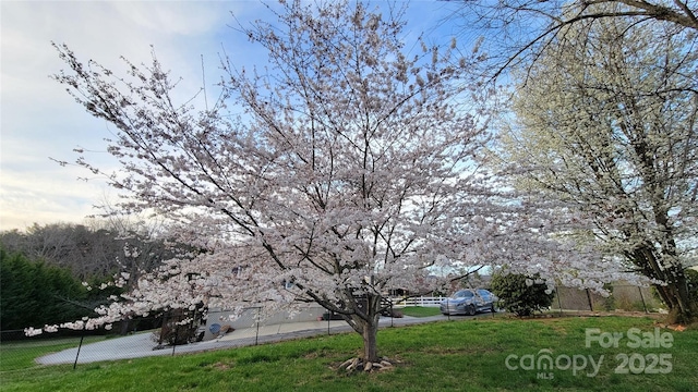 10 Haven Crest Ln, Fletcher, NC 28732 - view of yard