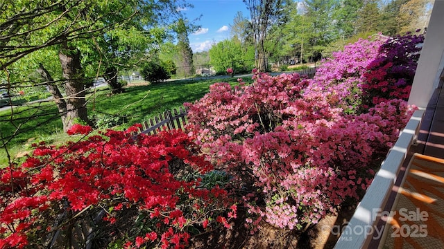 10 Haven Crest Ln, Fletcher, NC 28732 - view of yard