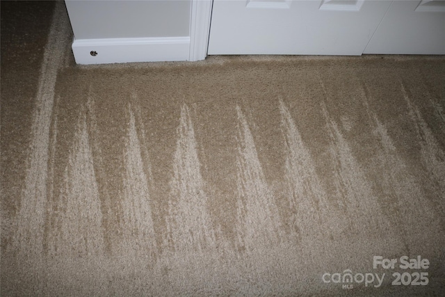 10726 Greenhead View Rd, Charlotte, NC 28262 - detailed view of carpet