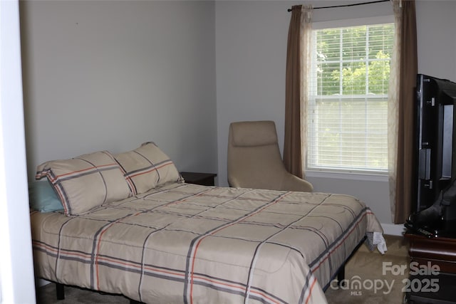 10726 Greenhead View Rd, Charlotte, NC 28262 - view of carpeted bedroom