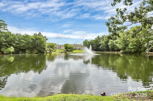 10726 Greenhead View Rd, Charlotte, NC 28262 - water view