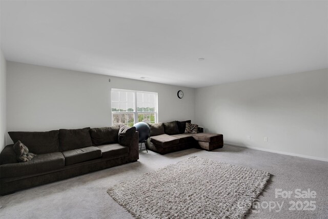 16404 Wavenly House Dr, Charlotte, NC 28273 - photo 43
