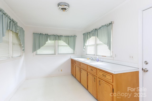 205 Hillcrest Ave, Rock Hill, SC 29732 - kitchen with a sink, baseboards, ornamental molding, light countertops, and light flooring