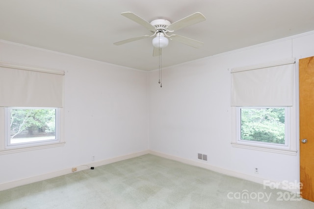 205 Hillcrest Ave, Rock Hill, SC 29732 - carpeted spare room featuring plenty of natural light, a ceiling fan, ornamental molding, and baseboards