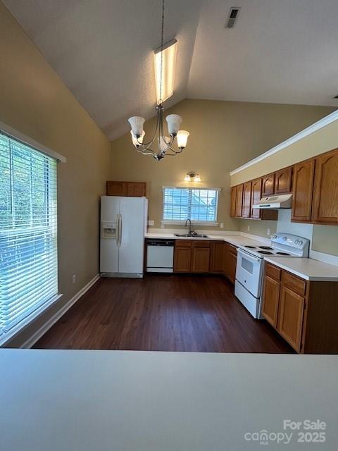 8901 Clifton Meadow Dr, Matthews, NC 28105 - kitchen with white appliances, a chandelier, under cabinet range hood, light countertops, and dark wood-style flooring