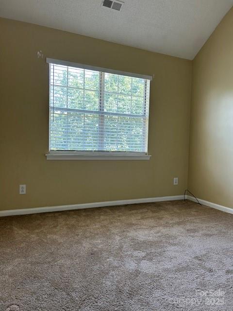 8901 Clifton Meadow Dr, Matthews, NC 28105 - empty room featuring plenty of natural light and carpet flooring