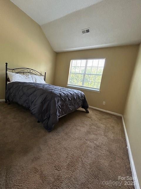 8901 Clifton Meadow Dr, Matthews, NC 28105 - bedroom with carpet flooring and vaulted ceiling