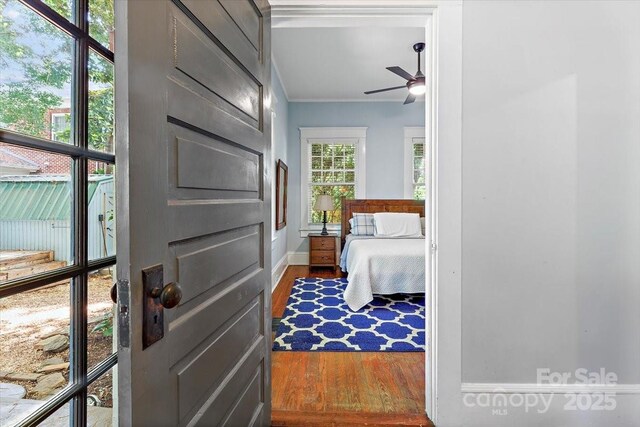506 Clement Ave, Charlotte, NC 28204 - photo 29
