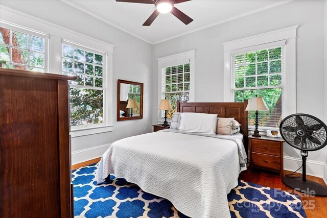 506 Clement Ave, Charlotte, NC 28204 - photo 31