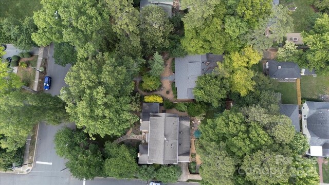 506 Clement Ave, Charlotte, NC 28204 - photo 48