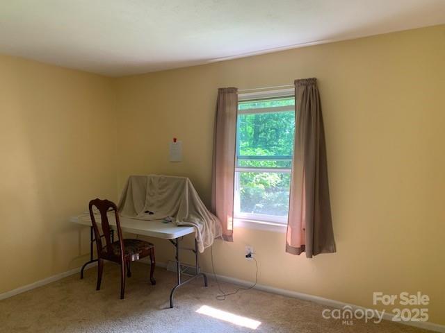 107 Robleigh Dr Unit 5, Hendersonville, NC 28739 - photo 15