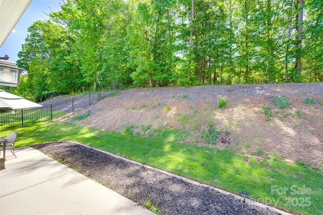 14727 Brannock Hills Dr, Charlotte, NC 28278 - view of yard with a patio