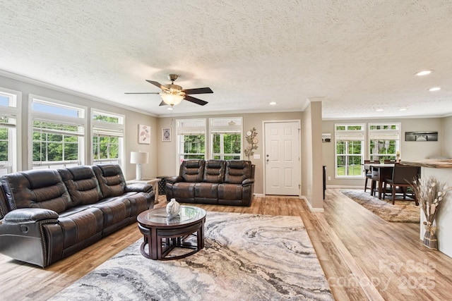 6 Hall Family Dr, Black Mountain, NC 28711 - photo 6