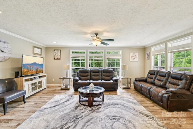 6 Hall Family Dr, Black Mountain, NC 28711 - photo 8
