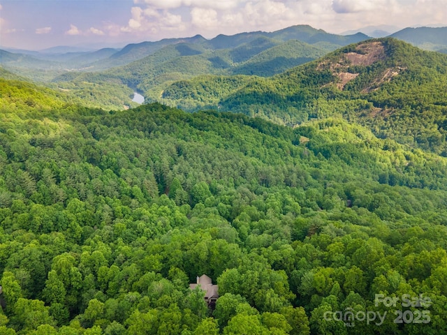 172 Juneberry Ln, Tuckasegee, NC 28783 - view of mountain background with a heavily wooded area