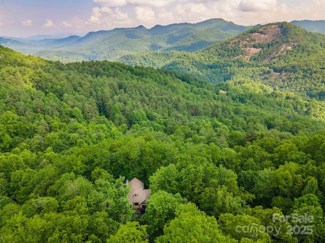 172 Juneberry Ln, Tuckasegee, NC 28783 - mountain view with a heavily wooded area