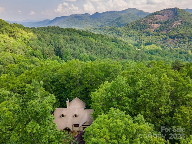 172 Juneberry Ln, Tuckasegee, NC 28783 - mountain view with a forest