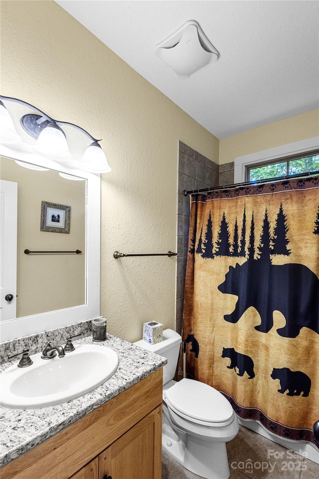 172 Juneberry Ln, Tuckasegee, NC 28783 - full bath featuring vanity, a textured wall, toilet, and curtained shower